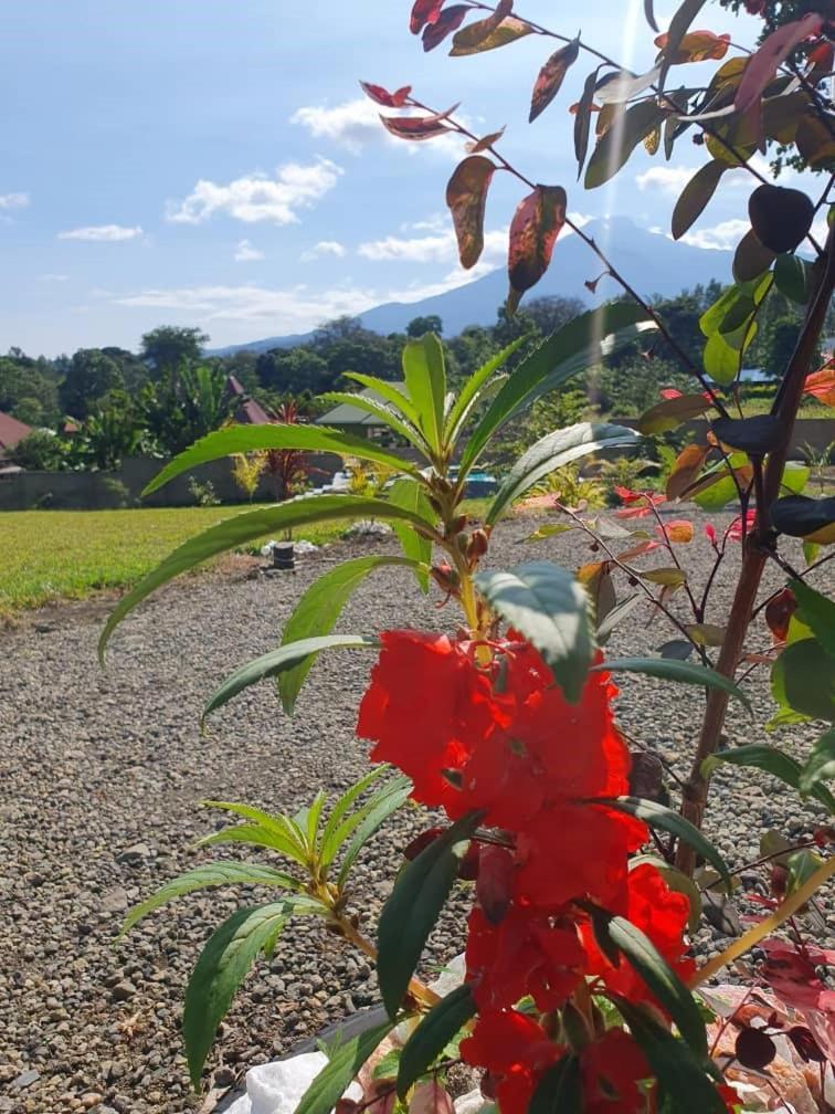 Rafiki Retreat Villa Arusha Ngoại thất bức ảnh
